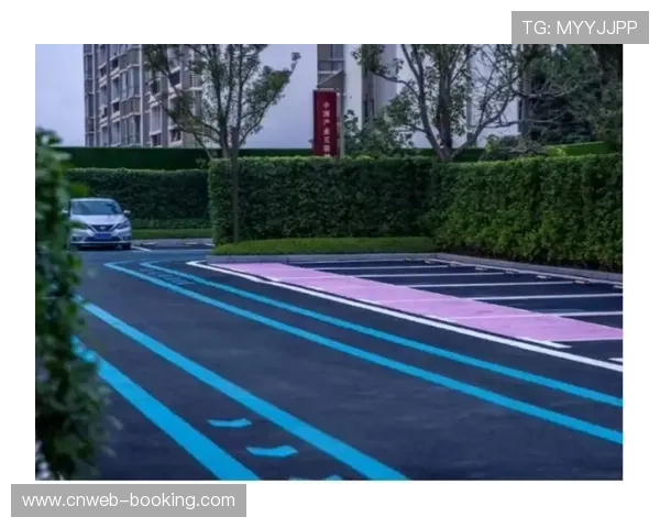 虹桥公园BMX场地作为永久设施，赛后持续服务训练